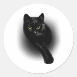 Sticker Rond Ongles à limer Black Cat