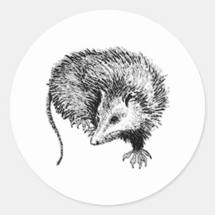 Sticker Rond Opossum