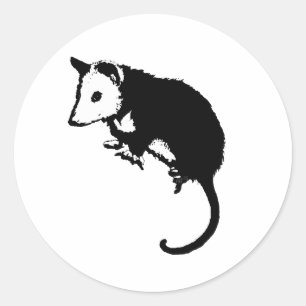 Sticker Rond Opossum impressionnant d'opossum