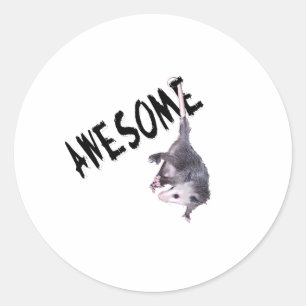 Sticker Rond Opossum impressionnant d'opossum