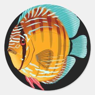 Sticker Rond Orange Discus