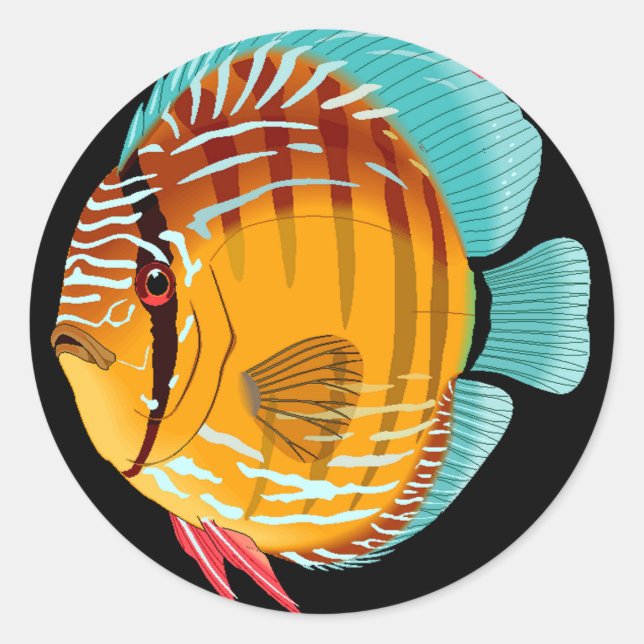 Sticker Rond Orange Discus (Devant)