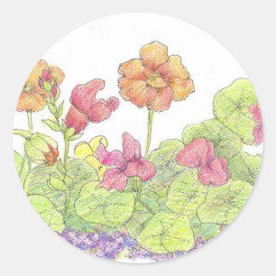 Sticker Rond Orange Nasturtiums Cottage Flower Garden Art