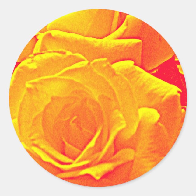Sticker Rond orange rose fluorescent (Devant)
