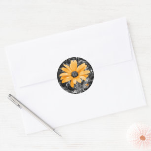 Sticker Rond Orange Spring Daisy Photo sur Monochrome