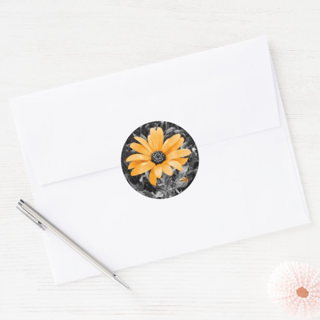 Sticker Rond Orange Spring Daisy Photo sur Monochrome (Enveloppe)