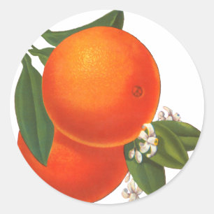 Sticker Rond Oranges Vintage Crate Art Modèle