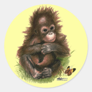 Sticker Rond Orangutan Baby and Butterfly