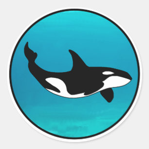 Sticker Rond Orca