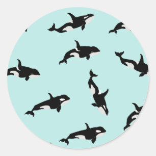 Sticker Rond Orca Baleine Illustration Motif Mer Bébé Bleu
