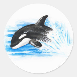 Sticker Rond Orca Breaching