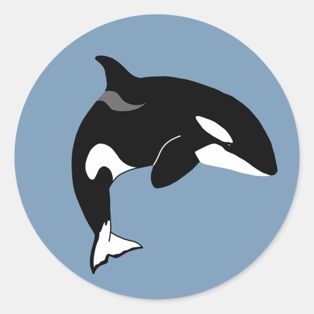 Sticker Rond Orca Killer Whale (Devant)