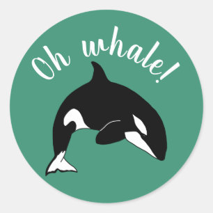 Sticker Rond Orca Killer Whale- oh baleine!