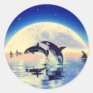 Sticker Rond Orca Whales