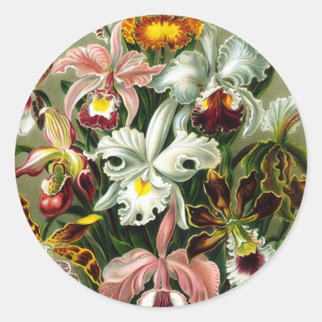Sticker Rond Orchidae (Devant)