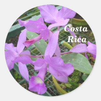 Sticker Rond Orchidée — Fleur nationale du Costa Rica