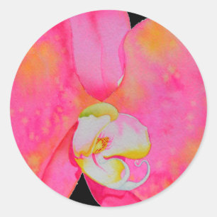 Sticker Rond Orchidée rose aquarelle peinture fleurs tropicales