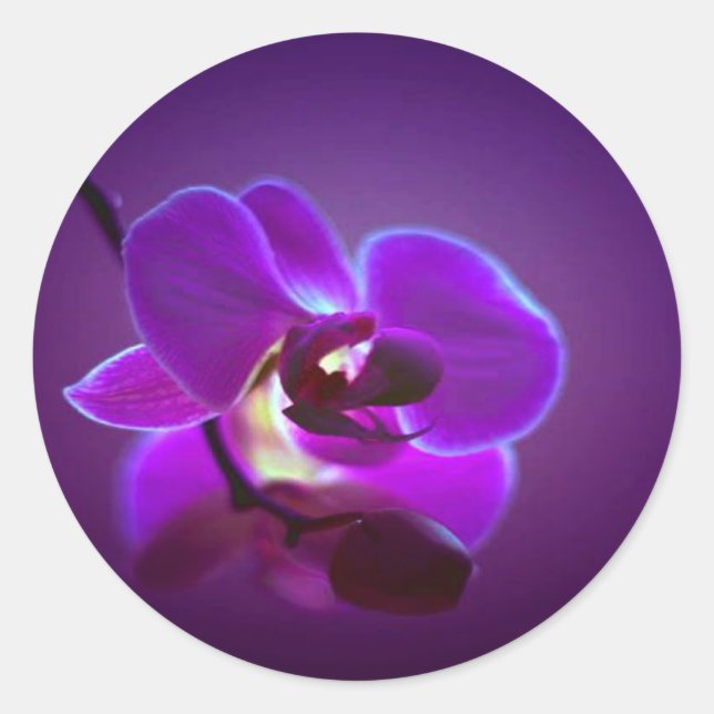 Sticker Rond Orchidée violette (Devant)