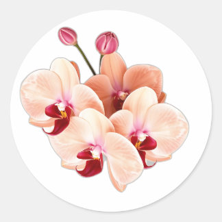 Sticker Rond Orchidées bourguignonnes en aquarelle