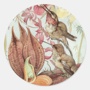 Sticker Rond Orchidées tropicales vintage, fleurs et colibris