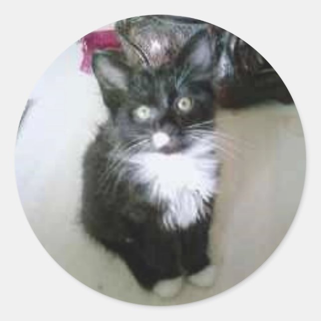 STICKER ROND "OREO" (Devant)