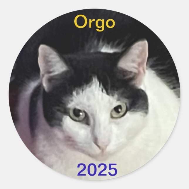 STICKER ROND ORGO (Devant)