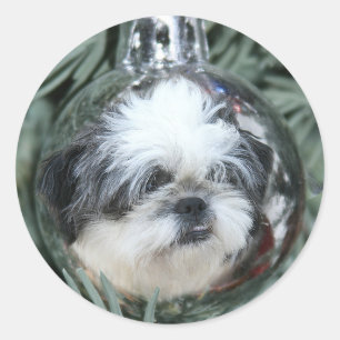 Sticker Rond Ornement de Noël de Shih Tzu