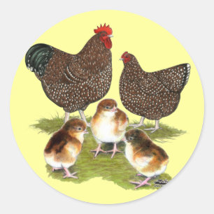 Sticker Rond Orpington Jubilee Famille de poulet