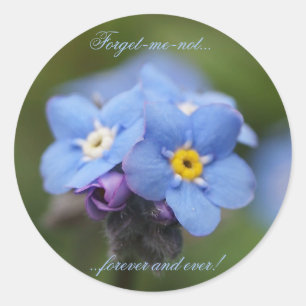 Sticker Rond Oublie-moi-pas pour toujours et jamais !