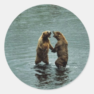 Sticker Rond Ours brun de Kodiak