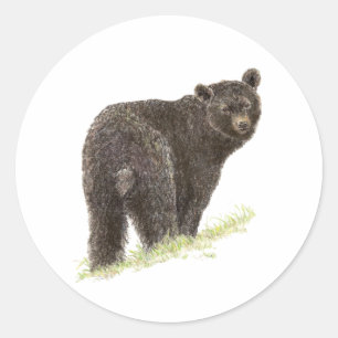 Sticker Rond Ours Noir mignon, Nature animale, Faune