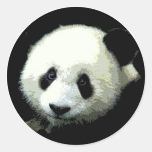 Sticker Rond Ours Panda
