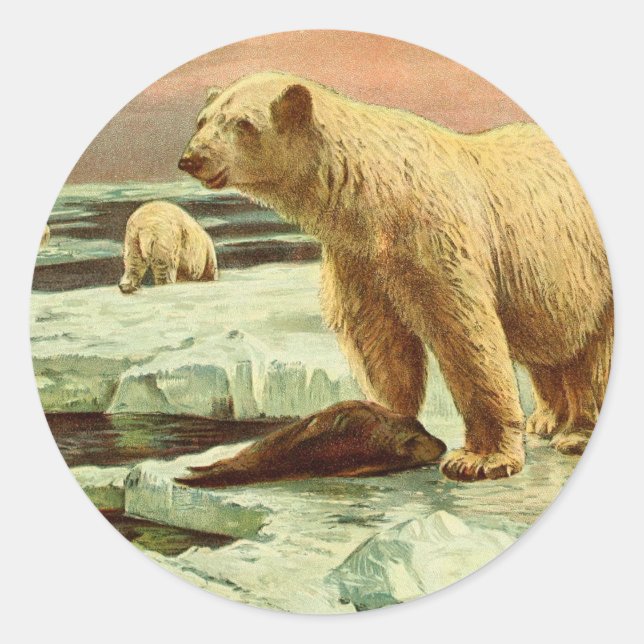 Sticker Rond ours polaires sur les glaciers dessin artistique d (Devant)