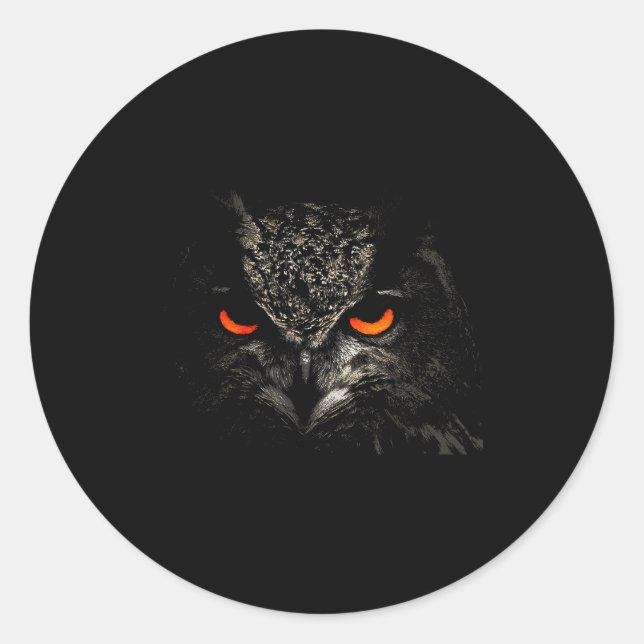 Sticker Rond Owl Retro Eye Men Women Kids Gift Apparel  (Devant)
