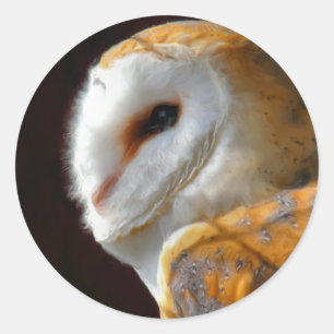 STICKER ROND OWLS