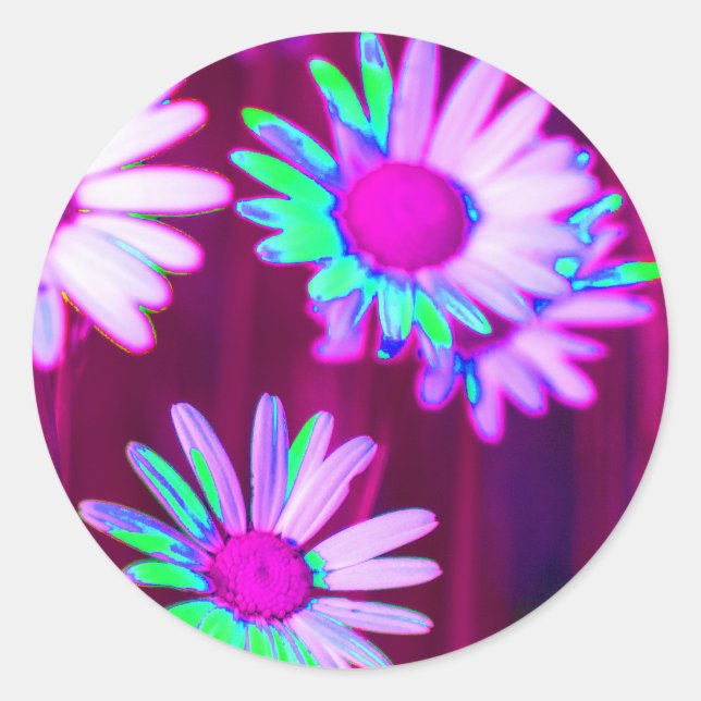 Sticker Rond Oxeye Daisy Meadow Pop Art Style (Devant)