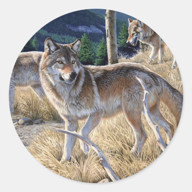 Sticker Rond Pack de loups dans la peinture forestière (Devant)