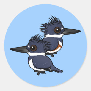 Sticker Rond Paire de martin-pêcheur