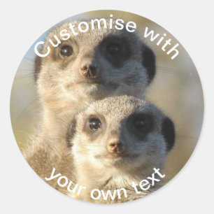 Sticker Rond Paire personnalisée de Meerkats