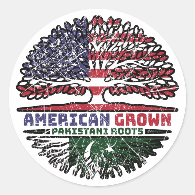 Sticker Rond Pakistan Pakistan Pakistan États-Unis États-Unis (Devant)