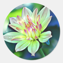 Pale Ombre Orange Rose Giant Dahlia Flower Art