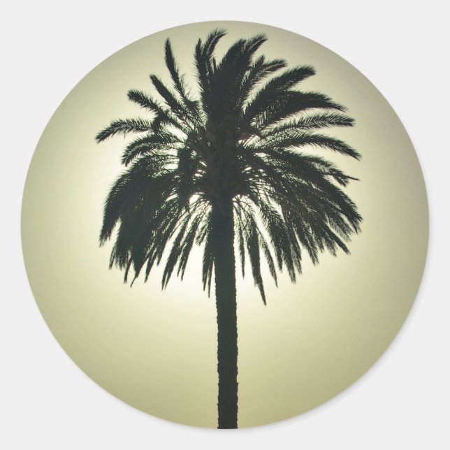 Sticker Rond Palm ensoleillé (Devant)
