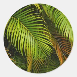 Sticker Rond Palm Tree Feuille Summer Beach Mariage tropical