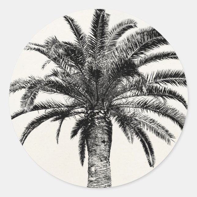 Sticker Rond Palmier de l'île tropicale rétro en noir et blanc (Devant)