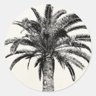 Sticker Rond Palmier de l'île tropicale rétro en noir et blanc