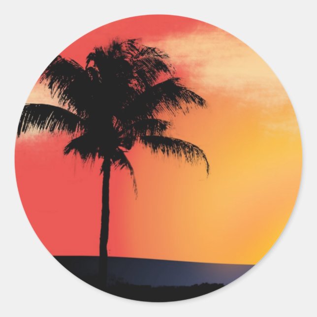 Sticker Rond Palmier tropical (Devant)
