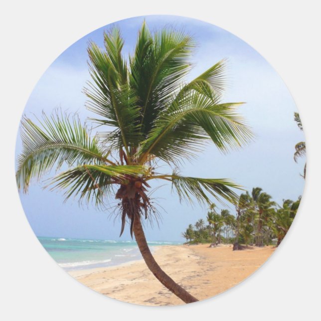 Sticker Rond Palmiers de plage (Devant)