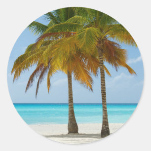 Sticker Rond Palmiers pittoresques sur une plage tropicale