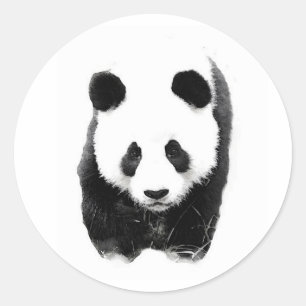 Sticker Rond Panda