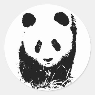 Sticker Rond Panda